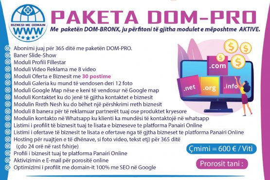 Profili i Biznesit me Domain dhe Dixhitalizimi i biznesit me SEO në Google nepermjet platformes Panairi Online me Paketen DOM-PRO